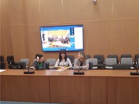 IMG_3731 (1).jpeg