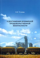 Н.И.тутаева К достижению.jpg