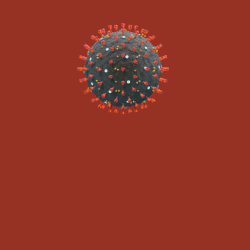 digest_bg.png