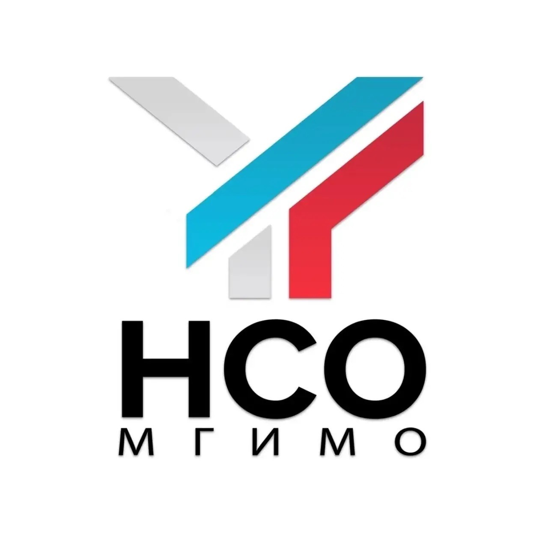 лого НСО (1).png